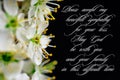 Our deepest condolences.white flowers on black background with text Royalty Free Stock Photo