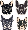 French Bulldog collection 