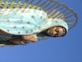 Our Lady of Guadalupe Royalty Free Stock Photo