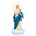 Our Lady of immaculate conception Virgin Mary catholic illustration
