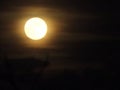Our moon tonight Royalty Free Stock Photo