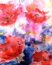 Floral painted abstract loose watercolour poppy painting illustration with background Ink and watercolor painting.