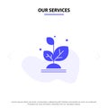 Our Services Plant, Grow, Growth, Success Solid Glyph Icon Web card Template