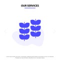 Our Services Plant, Leaf, Plant, Growth Solid Glyph Icon Web card Template