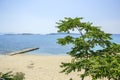 Ouranopolis beach on the sea, Greece Royalty Free Stock Photo