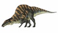 Ouranosaurus dinosaur - 3D render Royalty Free Stock Photo