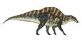 Ouranosaurus dinosaur - 3D render Royalty Free Stock Photo