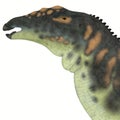 Ouranosaurus Dinosaur Head Royalty Free Stock Photo