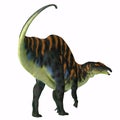 Ouranosaurus Dinosaur Tail Royalty Free Stock Photo