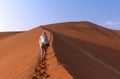 ourist walking on the sand dunes at Sossusvlei, Namib desert, Namib Naukluft National Park, Namibia. Traveling people, adventure