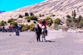 Tourists Horse riding services at Mount Bromo.