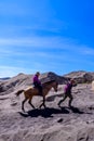 Tourists Horse riding services at Mount Bromo.