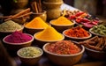 ourmet Spices Set for Chefs and Food Enthusiasts Royalty Free Stock Photo