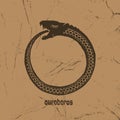 Ouroboros vector logotype, circle snake