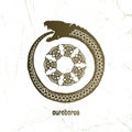 Ouroboros vector logotype or emblem, snake eating its own tail, eternity esoteric symbol