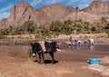 OURZAZATE, MOROCCO - JAN 2019: Berber women wash clothes in the river in beautiful picturesque place Oasis de Fint Royalty Free Stock Photo