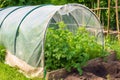 ouse from the outside for vegetable production created with generative AI technology
