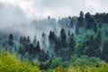 Outstanding 8k panoramic view of Carpathian forest and mountains in spring. Bieszczady, Poland. Royalty Free Stock Photo