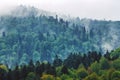 Oustanding 8k panoramic view of Carpathian forest and mountains in spring. Bieszczady, Poland. Royalty Free Stock Photo