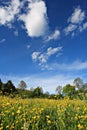 Out in the fields