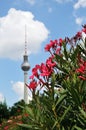 Out of focus berlin television tower in summer Royalty Free Stock Photo