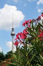 Out of focus berlin television tower in summer