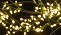 Out of focus christmas lights background Royalty Free Stock Photo