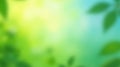 Blurred leaves with a fading green-blue gradient background