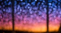 Out-of-focus lights create a vibrant bokeh effect Royalty Free Stock Photo