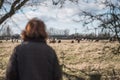 Out of focus woman seen looking at a distant herd of Alpaca`s seen at an Alacpa farm.