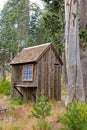 Out house in scenic forest