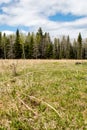 Out in the middle of a grass field