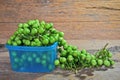 In and out plastic box of Turkey berry fruit Royalty Free Stock Photo