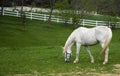 Out to Pasture