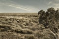 Outback Australia Barkly Highway NT with space Royalty Free Stock Photo