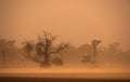 Outback Australia dust storm in New South Wales Royalty Free Stock Photo