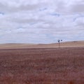 Australian outback landscape Royalty Free Stock Photo