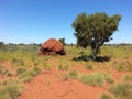 Outback Australia Termite ant hill mound with tree Royalty Free Stock Photo