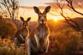 Outback Australian landscape with kangaroos.