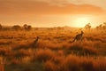 A golden Australian sunset with kangaroos.