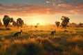 A golden sunset in Australia with a mob of kangaroos.