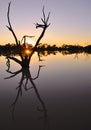 Outback Australian sunrise across a billabong Royalty Free Stock Photo