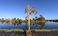 Outback Australian waterhole