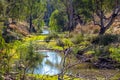 Outback at Dubbo Australia