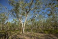 Outback of Kakadu National Park, Australia Royalty Free Stock Photo