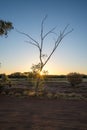 Outback landscape, Central Australia, Northern Territory