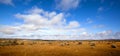 Outback Panorama Royalty Free Stock Photo