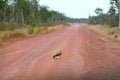Outback road Royalty Free Stock Photo