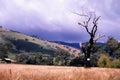 Outback Storm Royalty Free Stock Photo