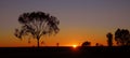 Outback sunrise in Australia